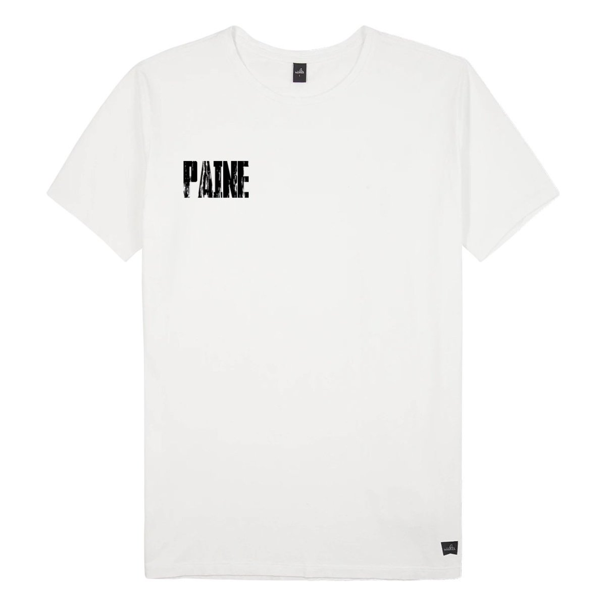 PAINE tweet media