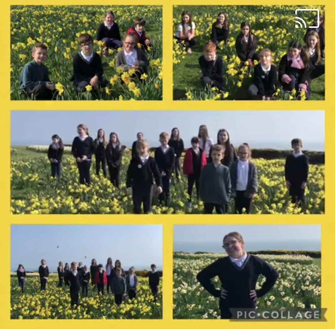 stannespsdee's tweet photo. We have been studying a poem, written by William Wordsworth all about how he went for a walk &amp; was amazed at all the daffodils he found. We went for a wander &amp; we too, were amazed at the beautiful array of colourful daffodils. Spring has sprung!
@isupportlhlh
#aschoolforall https://t.co/NINYK4kxx8