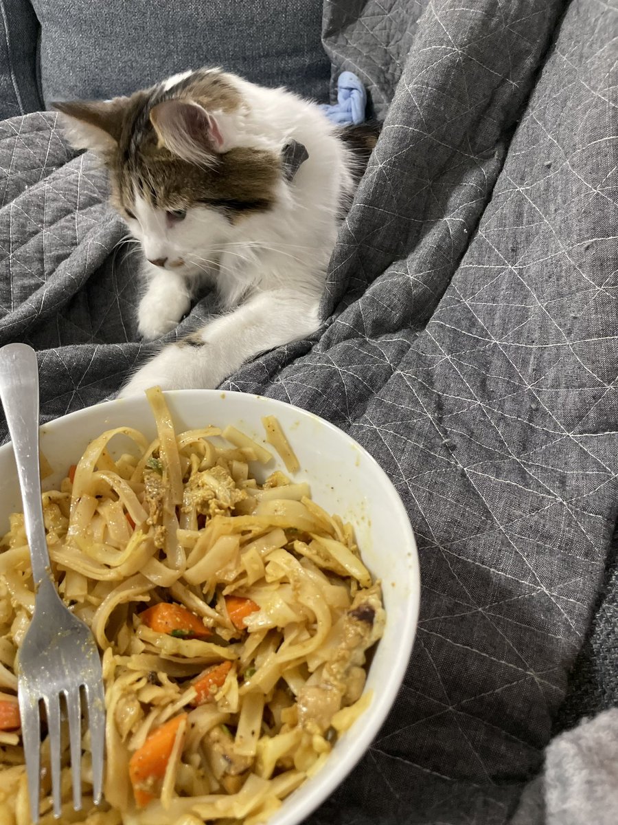 emergency_CNS's tweet photo. Tonightโs #CookingWithK
Singapore noodles
Approved by harry ๐พ https://t.co/NQwzTA4pqZ