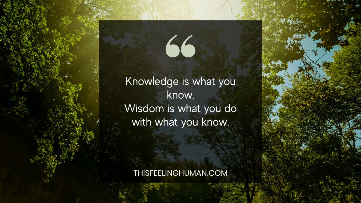 thisfeelinghum1's tweet photo. Wisdom is the mother of good decisions, not just a few but in all aspects of life. Wisdom is knowing what to do and also doing it. What kind of wisdom would you like to share today?
https://t.co/vdAMDUu389
#wisdom #knowledge #knowledgeisgood #wisdomispower #selfdevelopmenttools https://t.co/mRyHe2z6qf