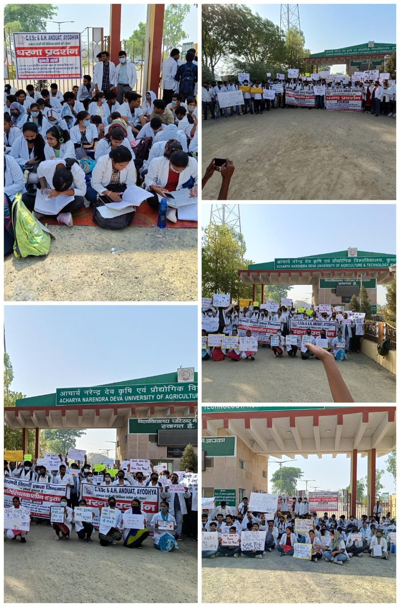 Dr Ashish Tripathi (@finest_stardust) on Twitter photo #Increase_UP_vets_Stipend
#SVPUAT_Meerut
#DUVASU_Mathura
#ANDUAT_Ayodhya
<a href="/myogiadityanath/">Yogi Adityanath</a> <a href="/CMOfficeUP/">CM Office, GoUP</a> <a href="/ANINewsUP/">ANI UP/Uttarakhand</a> <a href="/drsanjeevbalyan/">Dr. Sanjeev Balyan</a> <a href="/Aamitabh2/">Amitabh Agnihotri</a> <a href="/brajeshpathakup/">Brajesh Pathak</a> <a href="/dharampalbjpmla/">Dharampal Singh</a> <a href="/ktakshish/">Ashish Mishra</a> <a href="/atul1chaturvedi/">atul chaturvedi</a> <a href="/PRupala/">Parshottam Rupala</a> <a href="/VikasSaraswat/">Vikas Saraswat</a> <a href="/atulpradhansp/">Atul Pradhan</a> <a href="/SangeetSomBJP/">Sangeet Singh Som</a> <a href="/dmayodhya/">District Magistrate, Ayodhya</a> #Increase_UP_vets_Stipend
#SVPUAT_Meerut
#DUVASU_Mathura
#ANDUAT_Ayodhya
<a href="/myogiadityanath/">Yogi Adityanath</a> <a href="/CMOfficeUP/">CM Office, GoUP</a> <a href="/ANINewsUP/">ANI UP/Uttarakhand</a> <a href="/drsanjeevbalyan/">Dr. Sanjeev Balyan</a> <a href="/Aamitabh2/">Amitabh Agnihotri</a> <a href="/brajeshpathakup/">Brajesh Pathak</a> <a href="/dharampalbjpmla/">Dharampal Singh</a> <a href="/ktakshish/">Ashish Mishra</a> <a href="/atul1chaturvedi/">atul chaturvedi</a> <a href="/PRupala/">Parshottam Rupala</a> <a href="/VikasSaraswat/">Vikas Saraswat</a> <a href="/atulpradhansp/">Atul Pradhan</a> <a href="/SangeetSomBJP/">Sangeet Singh Som</a> <a href="/dmayodhya/">District Magistrate, Ayodhya</a>