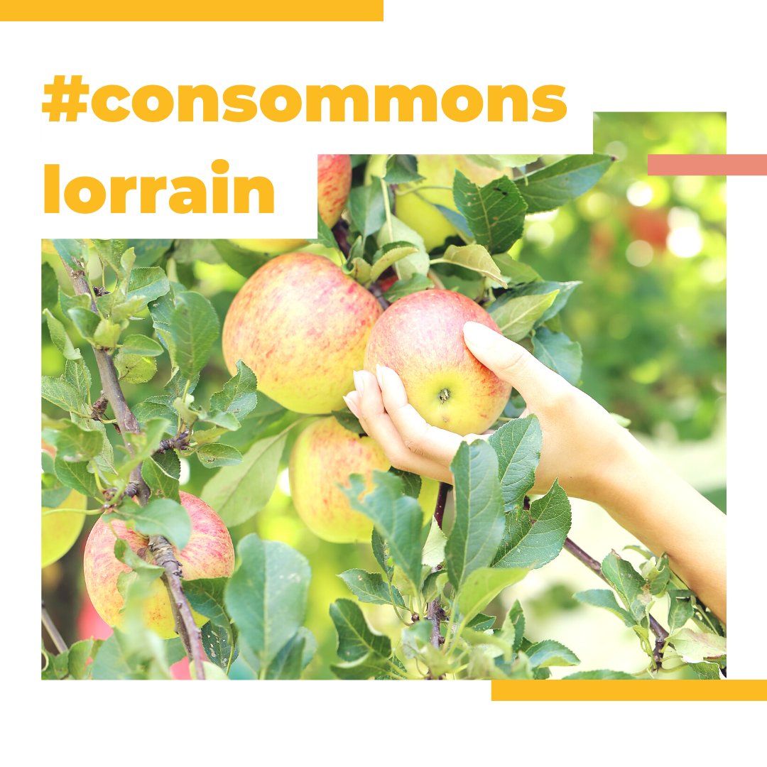 👉Journée Mondiale de la Santé. Aujourd'hui plus que jamais, soyons attentifs à notre façon de consommer! 💡Faisons confiance à nos fabuleux producteurs lorrains, avec leurs savoir-faire uniques et leur conscience du travail bien fait! #lalorrainenotresignature #consommonslorrain