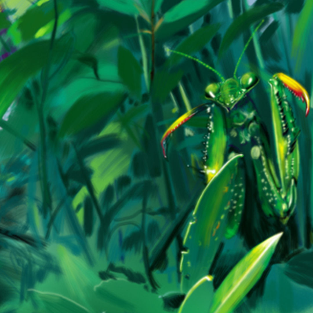 Gottesanbeterin, Detail aus dem Digitalgemälde „Borneo“. Ab 20. April an der #Ausstellung in #Zuerich