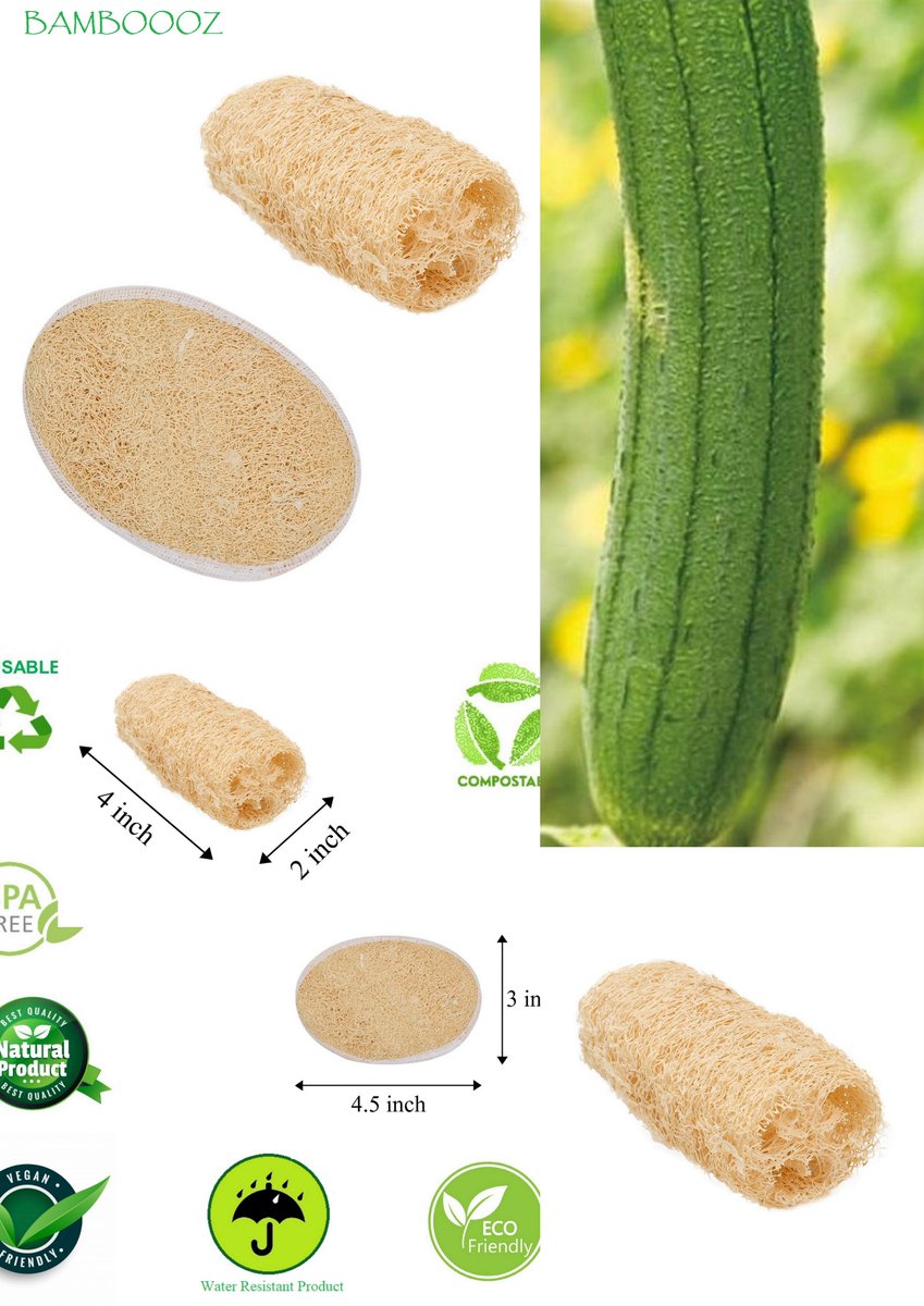 bamboooz99's tweet photo. Go for Natural Deep Cleansing  non-toxic oil control and acne elimination Anti-inflammatory detoxification Loofah #lofah #natural #organic #green #environment #platicfree #healthyliving #healthylifestyle 
@bamboooz99 @indrani11 

Shop https://t.co/GAG87tGzor https://t.co/IYGVjviZo2