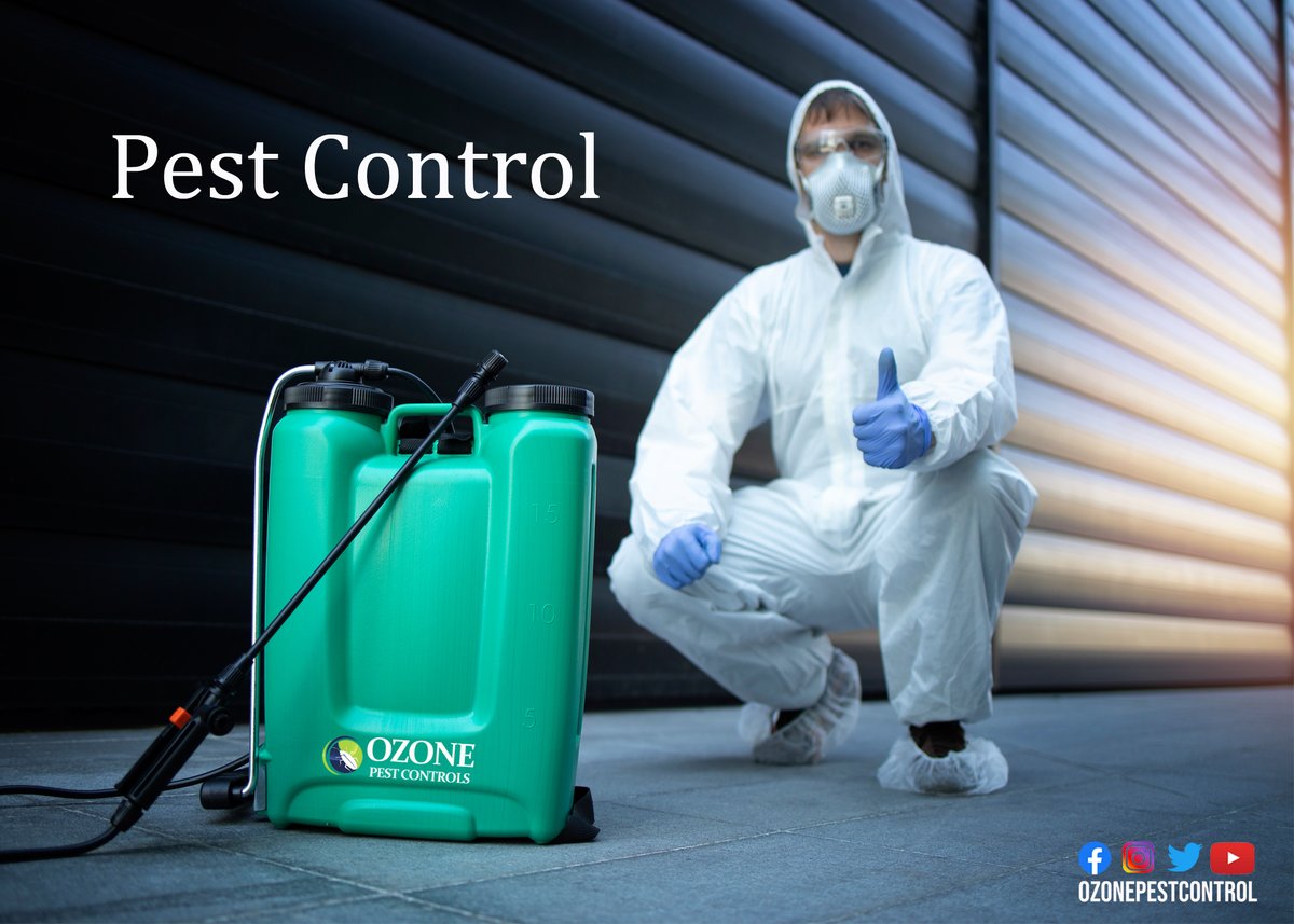 OzonePest's tweet photo. Q. Why is pest control needed?
#ozonepest
#ozonepestcontrolkrishnanagar
#krishnanagar
#bestpestcontrol
#herbalpestcontrol
#termitepestcontrol
#delhipestcontrol
#pestcontrolservices
#getpestcontrol
#odorlesspestcontrol
https://t.co/uBWnxMGrib https://t.co/e8C7zNNhfD