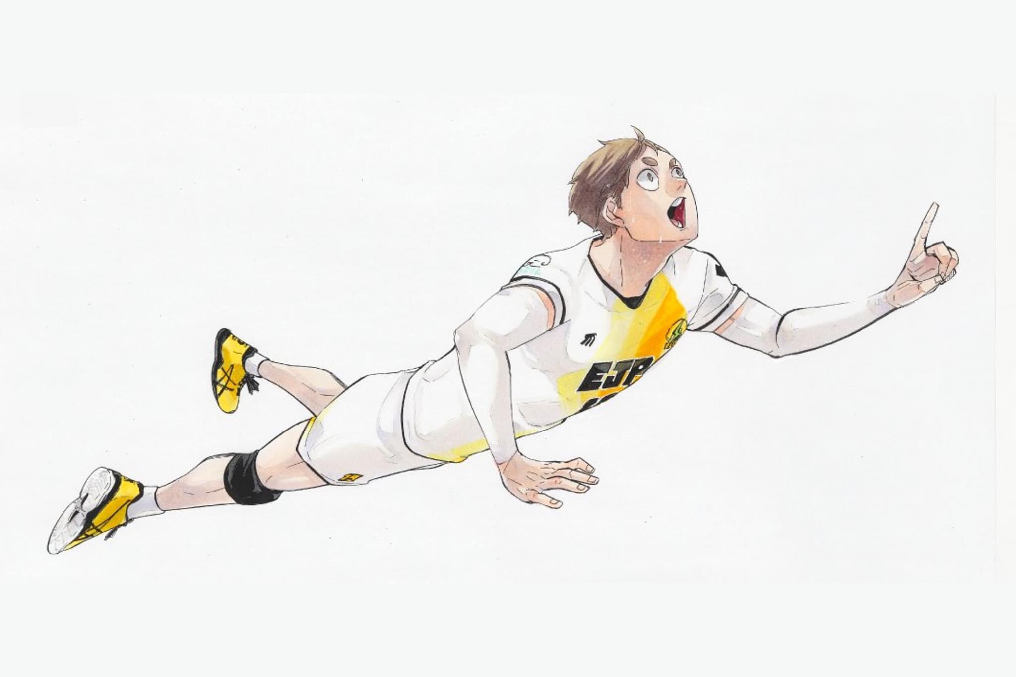 Haikyuu!! (Haikyu!!) 