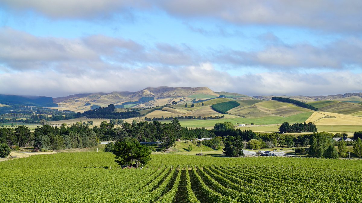 Screen CanterburyNZ tweet media