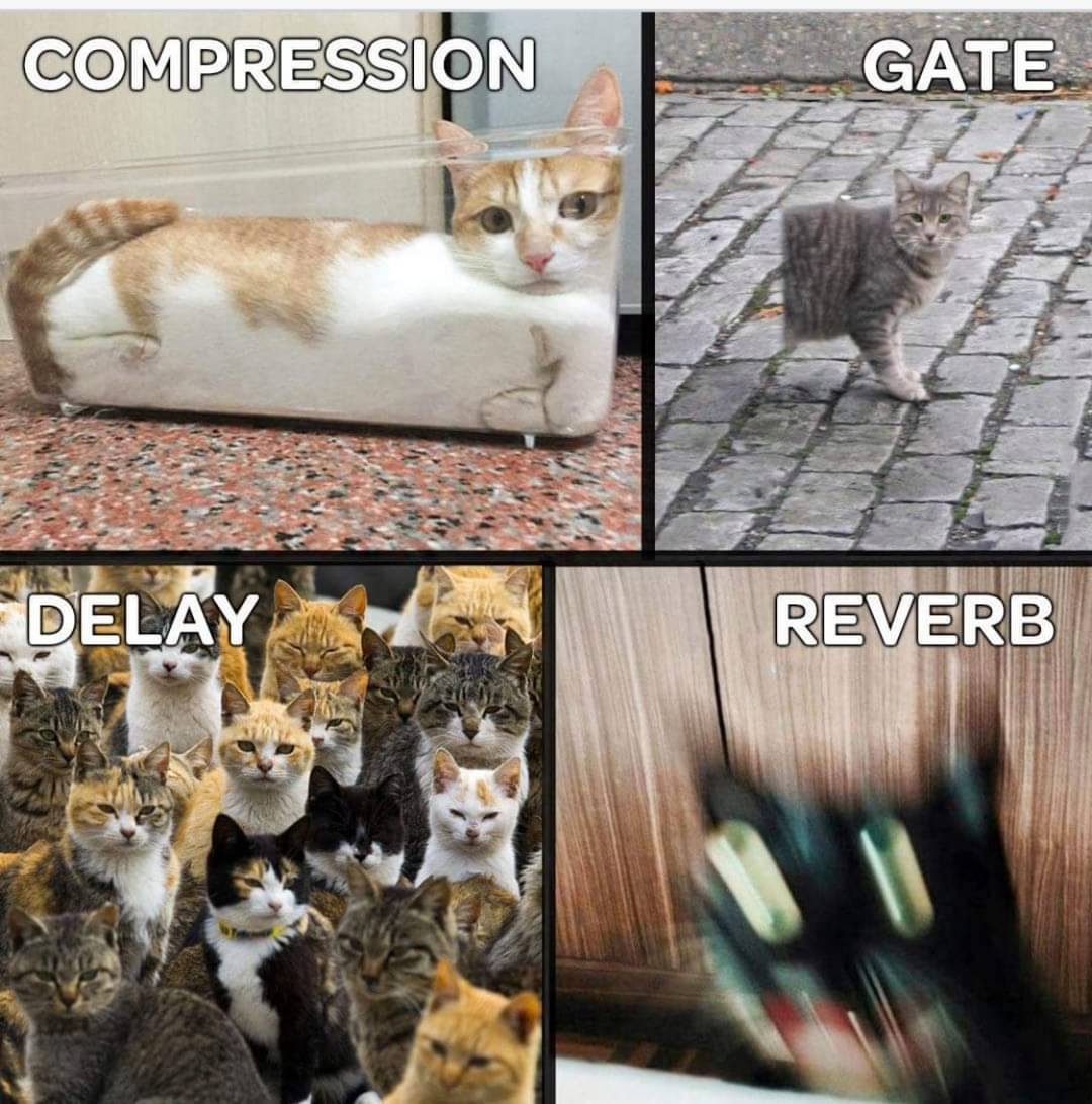 Guitar pedal effects illustrated by cats:, image size:1080x1092