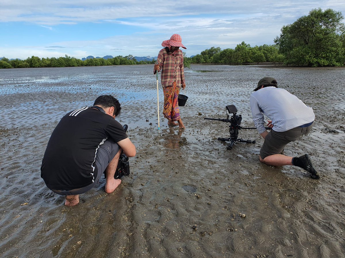MangroveProject's tweet photo. We've started filming in Thailand! Please help us reach our crowdfunding goal💚It's been an action packed first few days of filming with our characters, including Khun Nit, who are opening up to the cameras and living with stingless bees! https://t.co/W45gOp1GEx https://t.co/d4JoDJVlCG