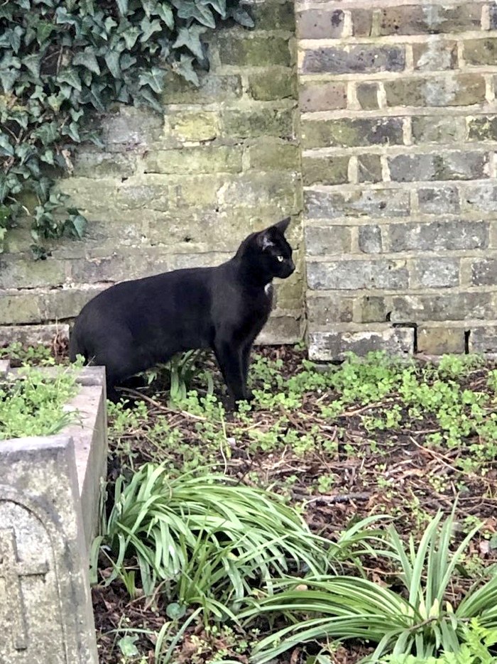 Love Art tweet media