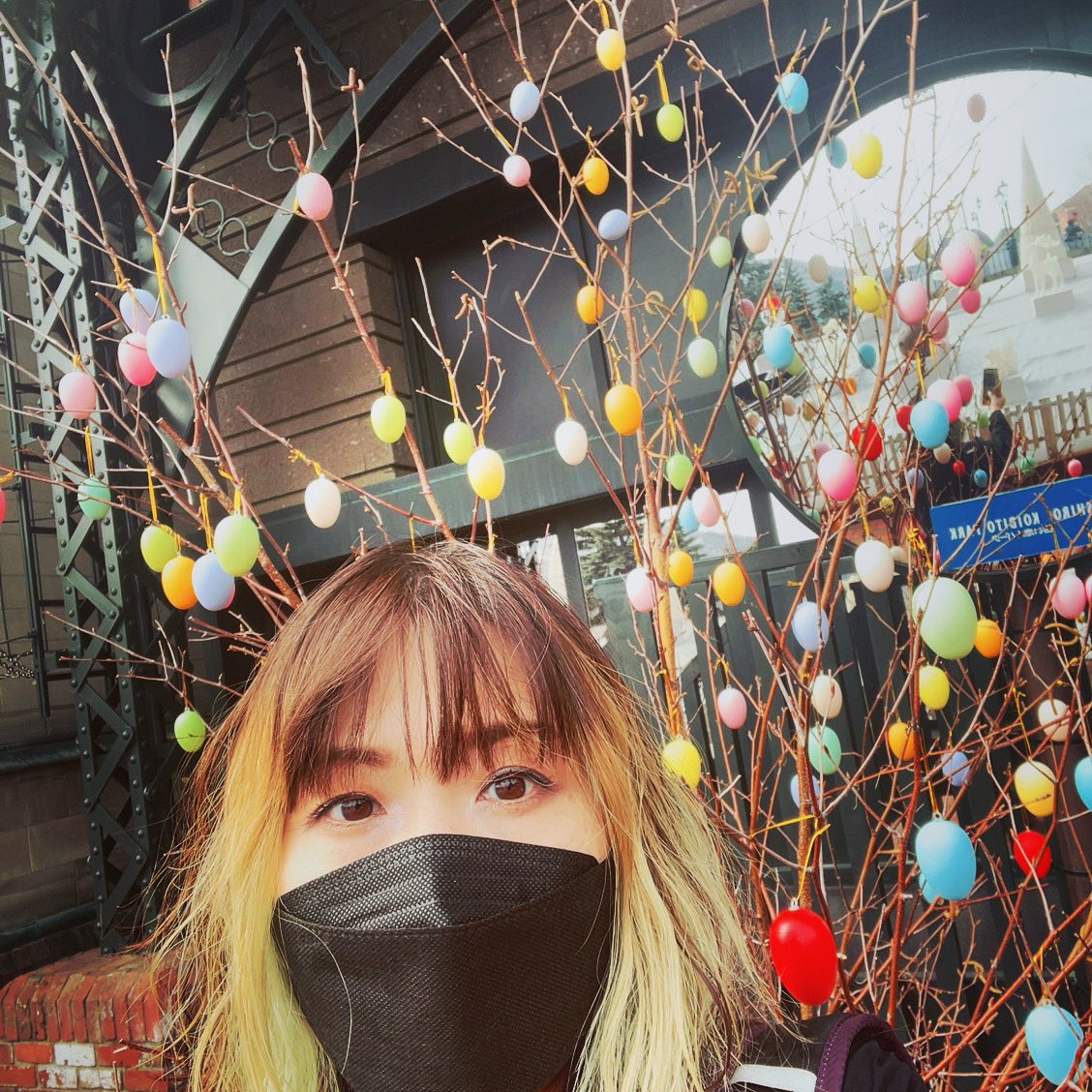 madooooon's tweet photo. 今日は朝から打ち合わせが続きますー
白い恋人パークのガーデンのお花の時期はもうちょっと先ですが、今はカラフルなつぶつぶ卵がついた木がとてもかわいいよー🐰
今年はここでなにができるかな🤍お楽しみに🤍 #picfes #ピクニックフェス https://t.co/b8bhHZbguR