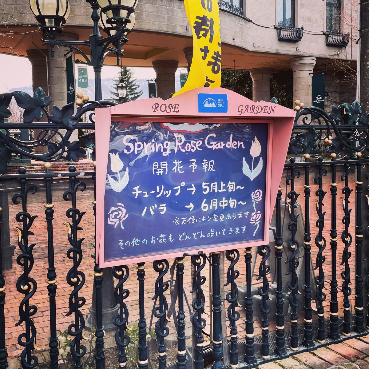 madooooon's tweet photo. 今日は朝から打ち合わせが続きますー
白い恋人パークのガーデンのお花の時期はもうちょっと先ですが、今はカラフルなつぶつぶ卵がついた木がとてもかわいいよー🐰
今年はここでなにができるかな🤍お楽しみに🤍 #picfes #ピクニックフェス https://t.co/b8bhHZbguR