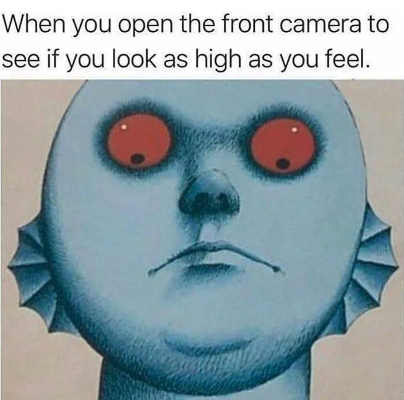 FrostPipe1's tweet photo. Yep. I was right. https://t.co/p7EQTcFXH9 #frostpipe #Cardano #NFT #CNFT #CardanoCommunity #CardanoStonerzClub #stoned #420 #high #blazed #dope #degen #memes https://t.co/lQTPTtENgZ