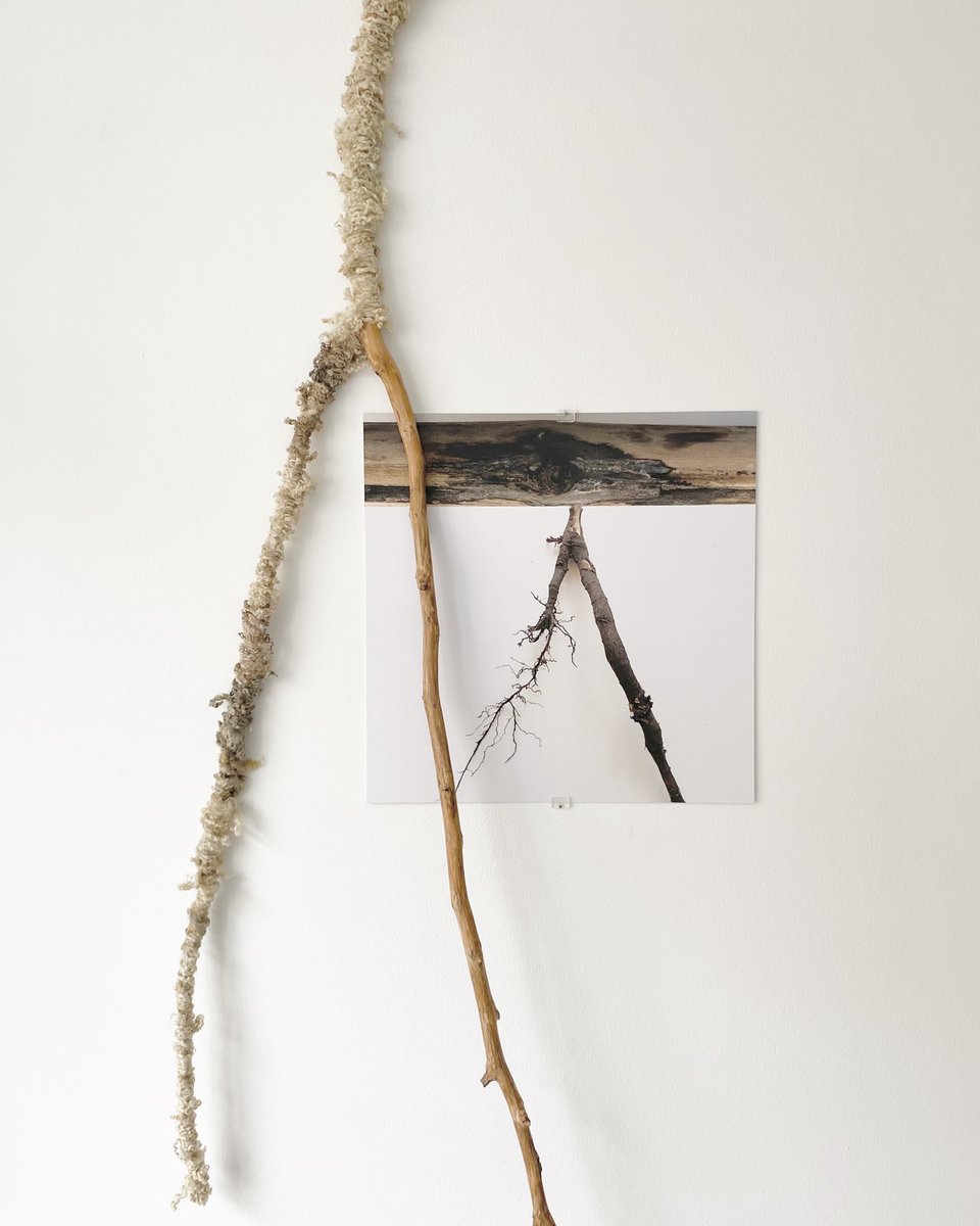 Kimnortondesign's tweet photo. Photography with Applewood wrapped in greasy blue faced Leicester wool.
One of my smaller pieces, exhibiting with @haptic_tacit @GroundworkKL until June 25th.
FIELDWORK
@jcairnsceramics
#NickyHirst
#AnnieWoodford
@grantupp
#RobertCooper
#fieldwork #environment https://t.co/qUthxNjkdc