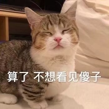 喵小Six tweet media