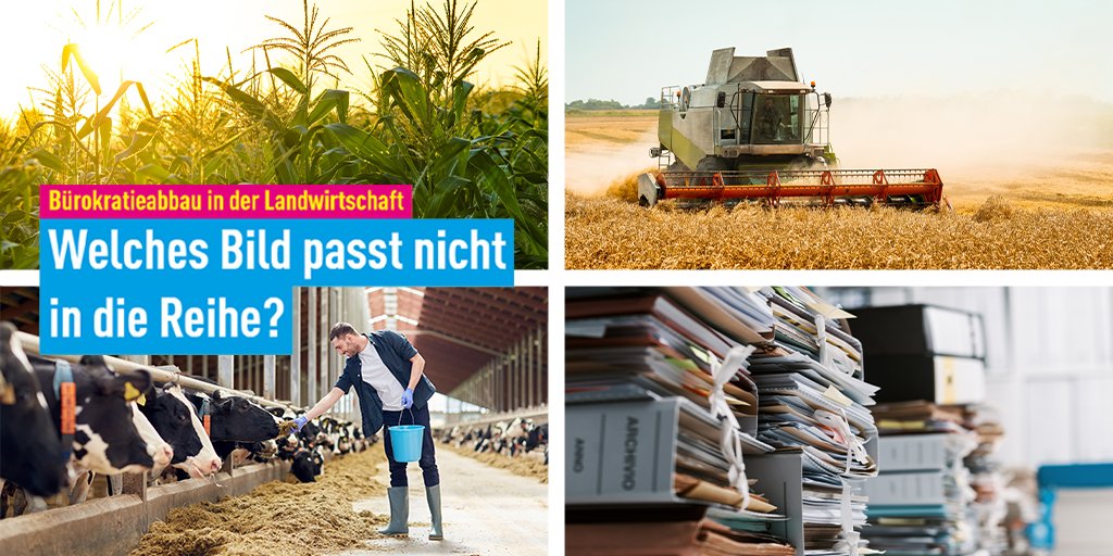 FDPFraktionNRW's tweet photo. Landwirtinnen und Landwirte müssen im Durchschnitt 32 Stunden/Monat am Schreibtisch verbringen und ihre Dokumentationspflichten erfüllen. Wir wollen die Digitalisierung und den Bürokratieabbau in der #Landwirtschaft vorantreiben. @Stephan_Haupt

#fdp #ltnrw https://t.co/WwJltu6Nxf