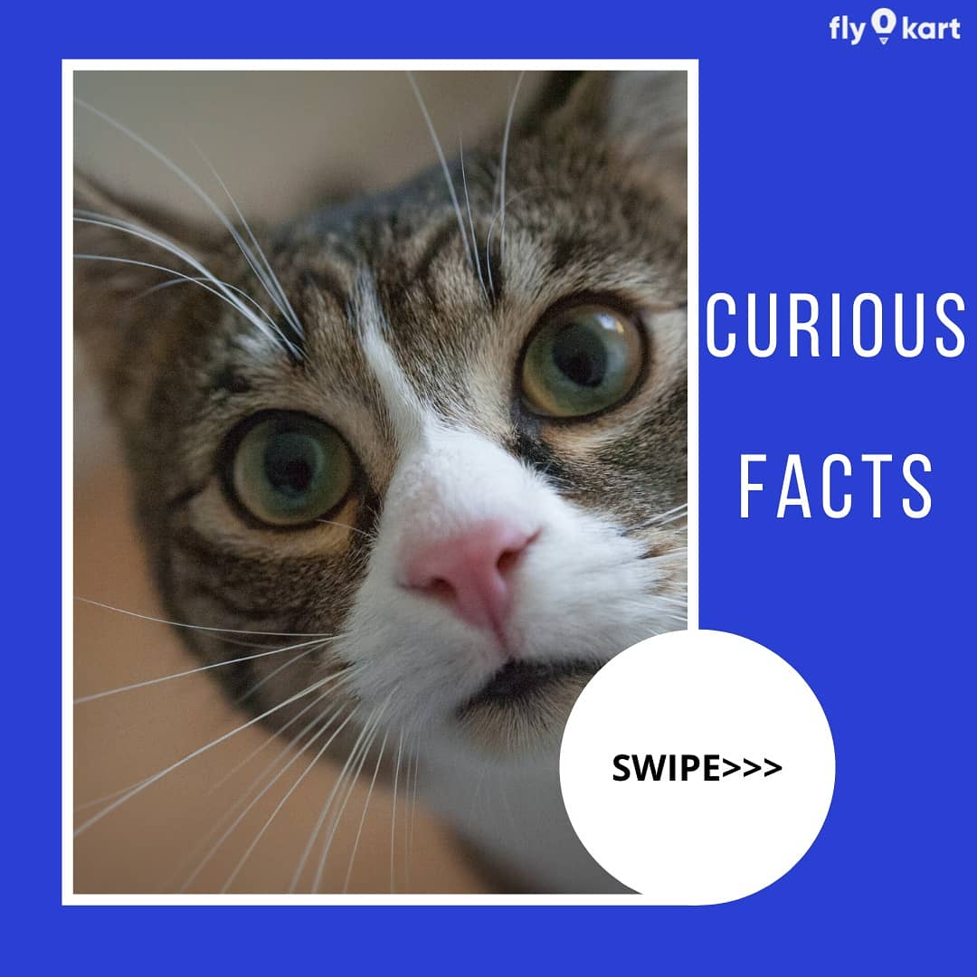 fly0kart's tweet photo. Facts are like cows. If you look them in the face long enough, they generally run away.
.
.
.
.
#fly0kart #reinventtravel #facts #fact #paris #newyork #europe #factsdaily #travelling #traveling #travelholic https://t.co/OrwA7csYlS
