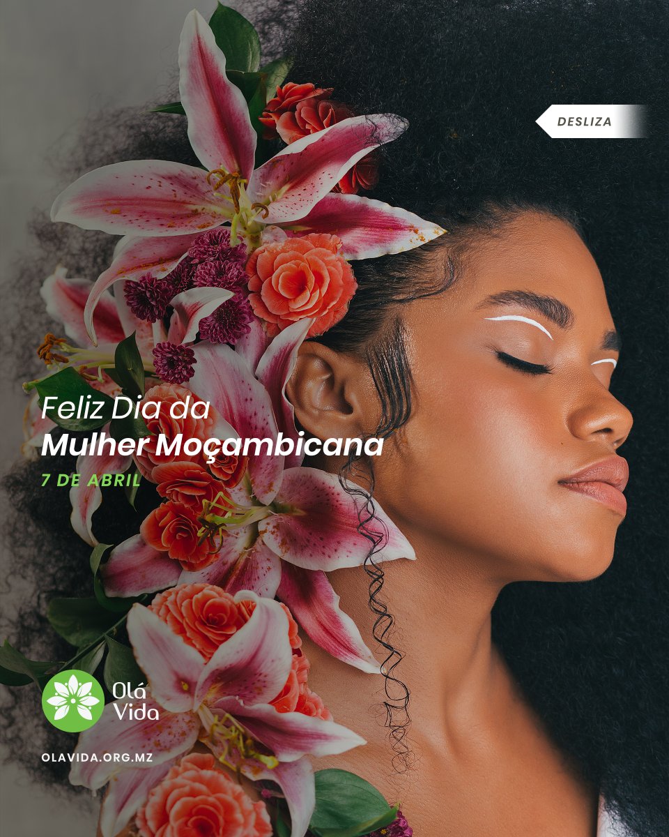 Olá Vida tweet media