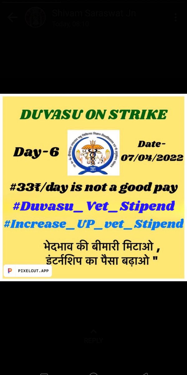 "कौन कहता है कामयाबी किस्मत तय करती है,
दम इरादों में हो तो मंजिलें भी झुका करती हैं"
Well done All Juniors from UP
Keep marching ahead.
#Increase_UP_vets_Stipend
#DUVASU_Mathura
#SVPUAT_Meerut
#ANDUAT_Ayodhya