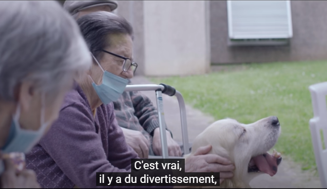 Fiers d'être utiles ! Ecoute👂, Patience🤗, Responsabilité🙌... Découvrez cette série vidéo 🎥 au cœur des métiers du soin et de l'accompagnement. Besoin d'être utiles ? Rejoignez-les ! cc @pole_emploi 👉youtube.com/watch?v=KRRpzp…