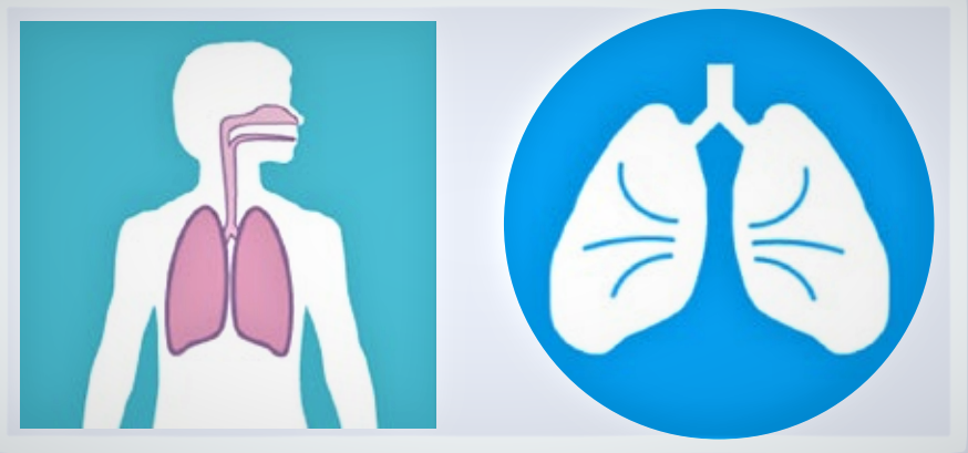 ggdhaaglanden's tweet image. Gezondheid is belangrijk &amp;amp; de gezondheidszorg moet goed toegankelijk zijn voor iedereen, ook de digitale zorg of #ehealth. In het nieuwste nummer vh Epidemiologisch Bulletin lees je het artikel E-health en Digitale Ongelijkheid. bit.ly/epibul-maart22
#WereldGezondheidsDag