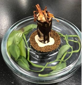 ReunionTourisme's tweet photo. 👨‍🍳 Félicitations à Julien Leveneur !💪🏆 
🍰 Le chef pâtissier de l’Iloha remporte le championnat de France du dessert !
C’est avec son Baba comme une tatin, fenouil et manzana que Julien Leveneur a fait la différence. 

#ileintense #lareunion #gotoreunion #patisserie #food https://t.co/uRNSJBRe0V