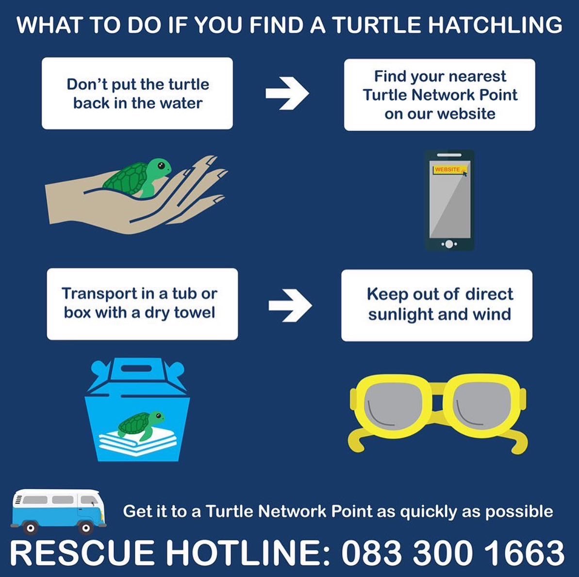 sharkcentre's tweet photo. Winter is approaching, and so is turtle hatchling stranding season. π’
Want to be a #turtle rescuer and help the team at the @2OceansAquarium? Hereβs what you can do if you come across a #turtlehatchling.
οΏΌ
Photos by Aquarium Foundation https://t.co/JWFfyBApqF