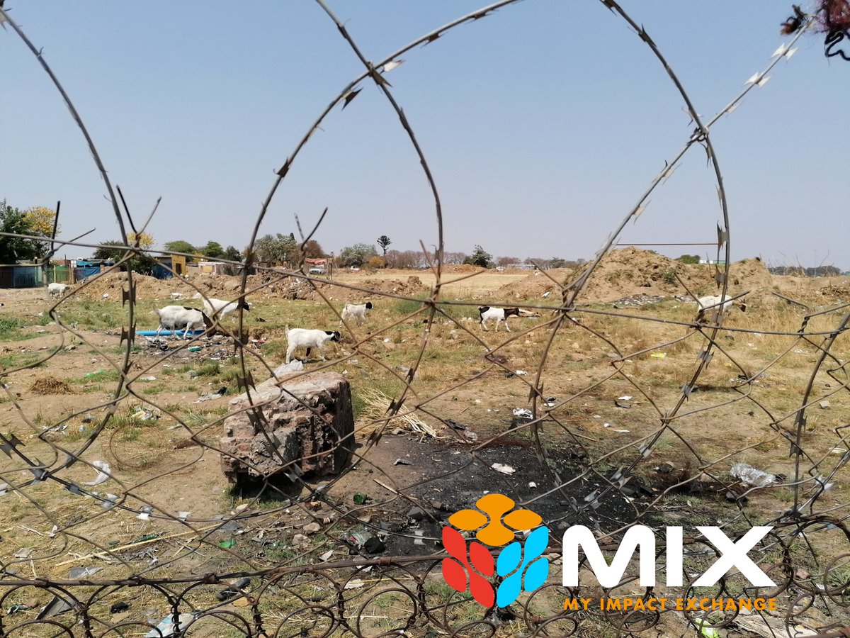 MiXchange_SA's tweet photo. Enterprising from a small piece of land by mobilization your community to work together. Using land in transforming a community and inspiring
industrialization. Seeing gaps within a broader food production and building food networks within your community. https://t.co/HGjdQ99cpx