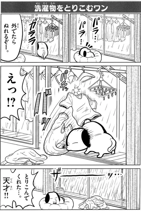 1話の5「洗濯物をとりこむワン」 #天才犬レオ 