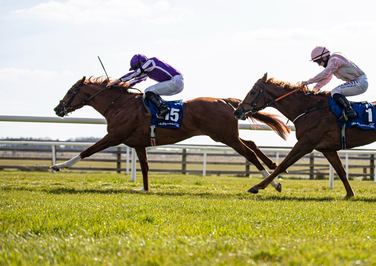 HRIRacing's tweet photo. #TodaysTips - https://t.co/rn3bVyV30G
🏇@LimerickRaces ⏰First Race 1.20pm
🏇@GowranPark1 ⏰First Race 3.55pm
Over the jumps at #Limerick early this afternoon with action on the Flat following from #GowranPark.
Our previews are here ↙️
https://t.co/rn3bVyV30G #Wordsworth https://t.co/DXujmenqEj