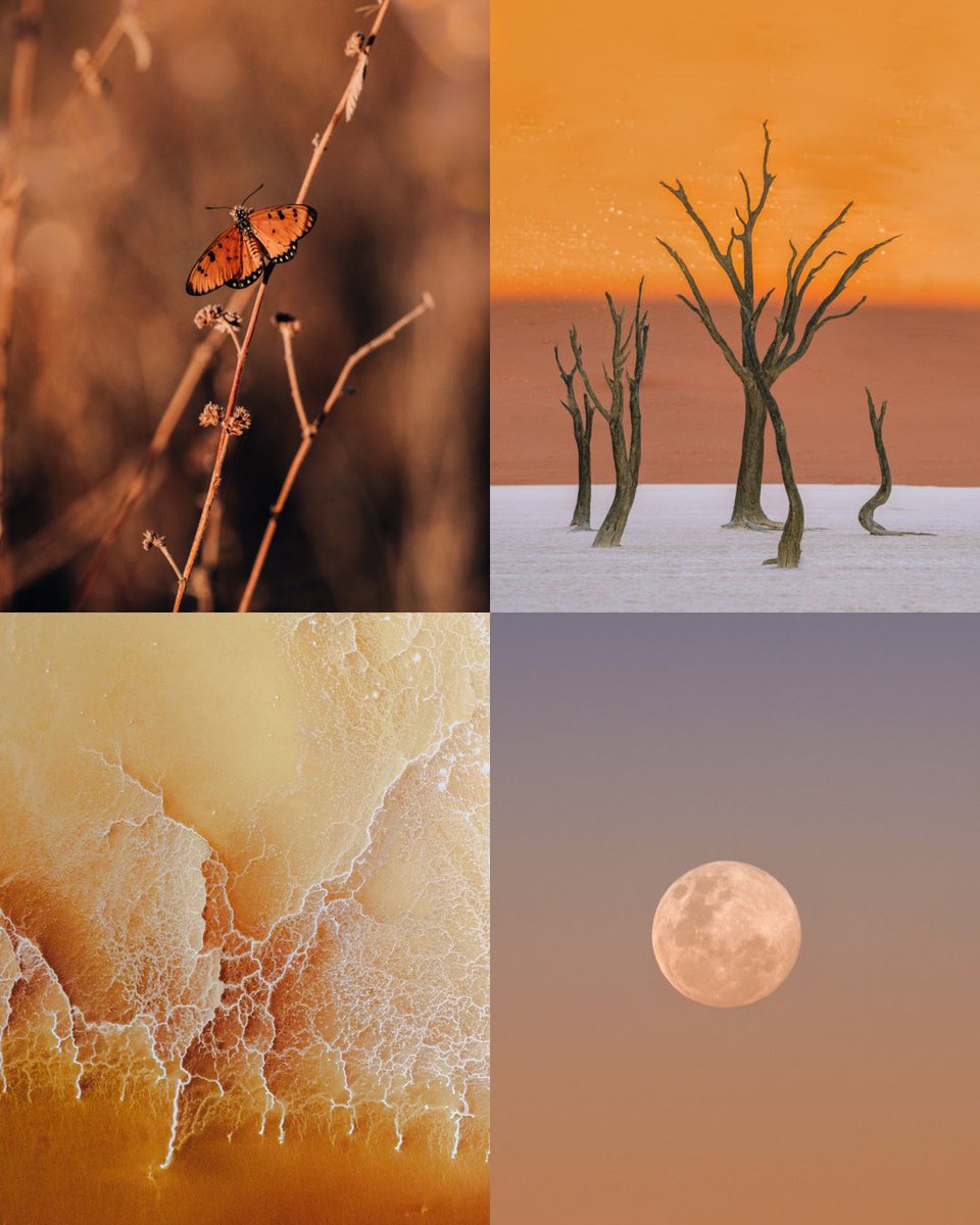 Exploring a warmer world… ✨💛🧡