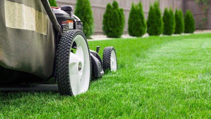 R Property Services : Property Maintenance tweet media