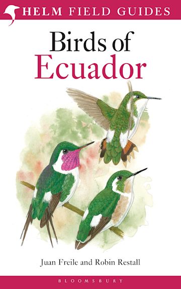 albicilla66's tweet photo. I like and would recommend the #BirdsOfEcuador. This #fieldguide is noticeably user-friendly & contemporary in its concept (I hate the overused word ‘modern’, though one may say that, too)➡️https://t.co/fzZRFrBYns
#HelmFieldGuides / @BloomsburyBooks
@chiffchat https://t.co/baL5kNrmVZ