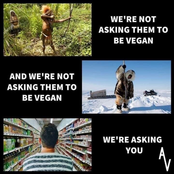 Pali Canon (@canon_pali) on Twitter photo 