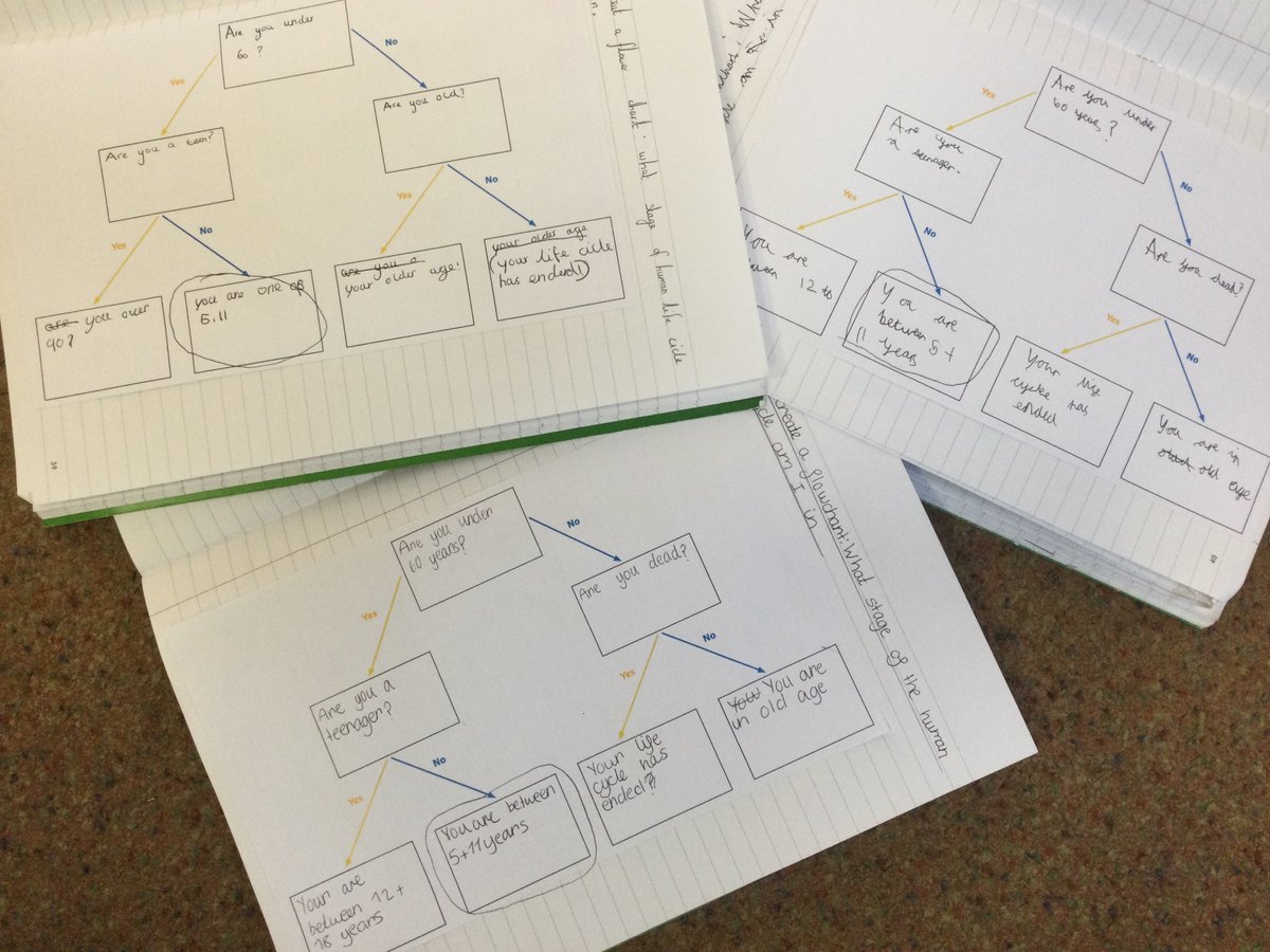 WillowGreenAcad's tweet photo. This morning, Year 5 have finished their Science Topic - Life Cycles Including Humans. We looked at the different stages of human life and created a flowchart of Yes/No questions to decide which stage they were in.
#WGAscience
#Deltasciencelab
@priscigeeks https://t.co/UojvjbvBl5
