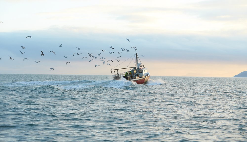 DirkBeckersEU's tweet photo. #Projectspotlight
Through our #EMFF programme, we support the great #BAPSI @BAPSeafood project that promotes dialogue between the #seafood industry and #education actors in 🇪🇸, 🇮🇹 and 🇵🇹 to make the sector sustainable and competitive.
To learn more 👉https://t.co/dqWwRLYVCy https://t.co/DKNWIF065T