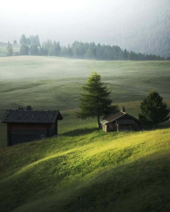 OfficialEarth_'s tweet photo. This place is just perfection. 🌱 💚
📷 https://t.co/cabCe4w3LU

#Earth #Nature #HomePlanetEarth https://t.co/0G4Bt0pbYP