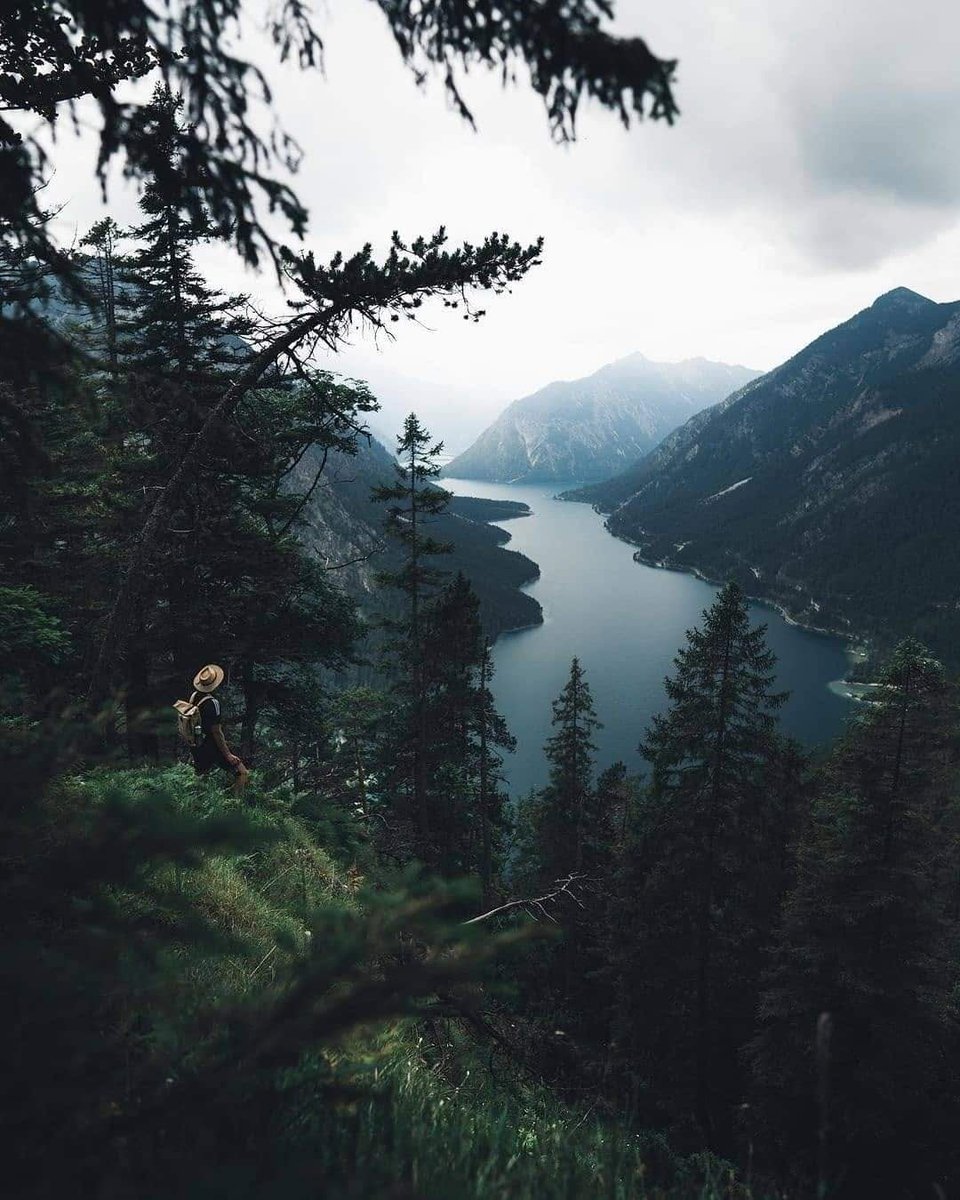 OfficialEarth_'s tweet photo. Tyrol, Austria 🇦🇹🌲
📸 peter.brunner

#Earth #Nature #HomePlanetEarth https://t.co/48fEE5DyQr