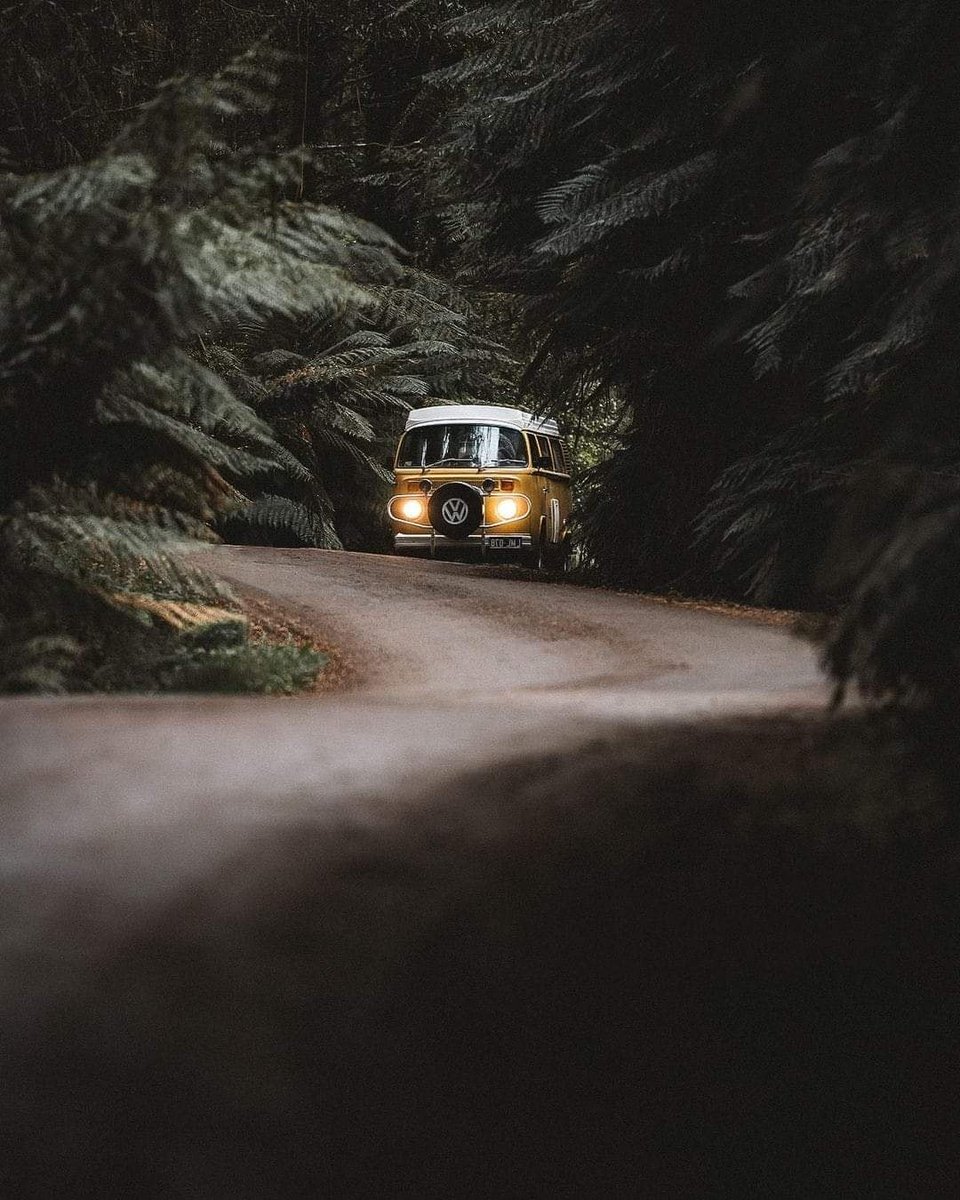 OfficialEarth_'s tweet photo. Australia
📸@kylevollaers [IG] 🌿🚍

#Earth #Nature #HomePlanetEarth https://t.co/h4Rk9linFd