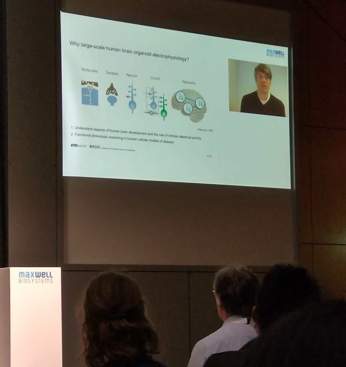 janm101's tweet photo. In today's first presentation of the In-Vitro 2D &amp; 3D #Neuronal Networks Summit, Dr. Manuel Schröter from @bel_ethz , @ETH_BSSE presents a wide range of #HDMEA datasets obtained from 3D brain organoids: from network to sub-cellular activity.
@mxwbio #hdephys #Organoids https://t.co/9Sp7Xd7Tsr