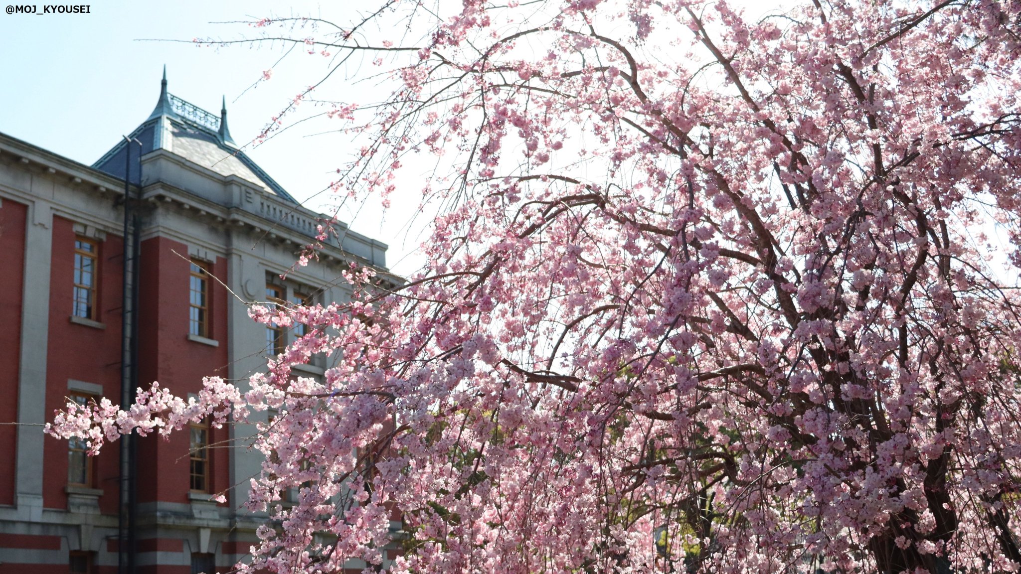 法務省矯正局 on Twitter 