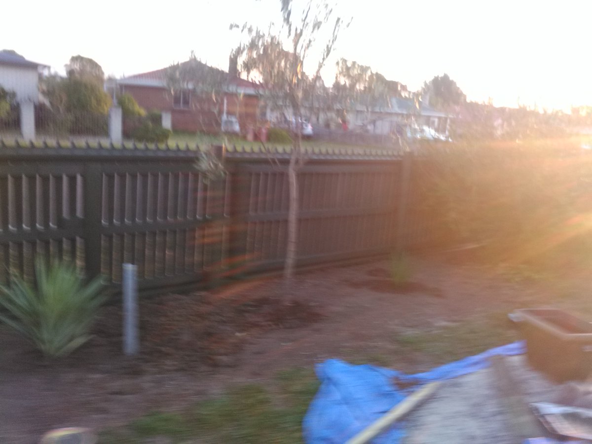 ShelldoHanson's tweet photo. planted a few yukka ,s in side the garden to fill in spaces, cuttings off ones i have and built the last 2m of fence and filled the bottom in so can wood chip the garden today , paint it in a couples of days when pine dry's out #buildafence https://t.co/CJKKzMRsqh