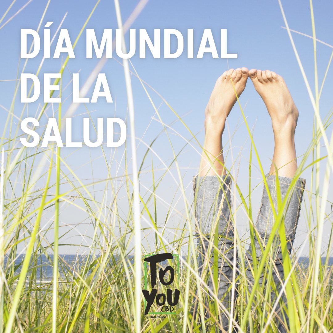 ToYouCBD's tweet photo. 🩺 7 de abril: Día Mundial de la #Salud
La salud y tu bienestar, en el centro de todo. Tu salud es lo que nos mueve y, por eso, continuamos produciendo soluciones con efectos terapéuticos y la mejor relación calidad-precio del mercado. 😉
https://t.co/FMYP7dVMlz https://t.co/t1KhahrMEw