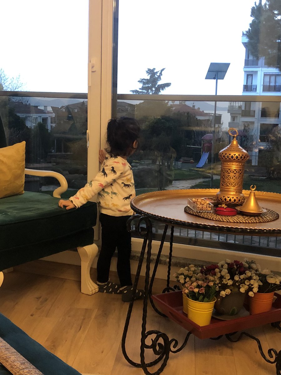ipekanlas's tweet photo. İftara davet edildik,salon manzarasi az biraz adalar deniz cokca park:)Oynadi geldik hala  parki kesiyo.😂sanki hic gormemis,hasret😂🥰 https://t.co/RmEQdJQ6YF