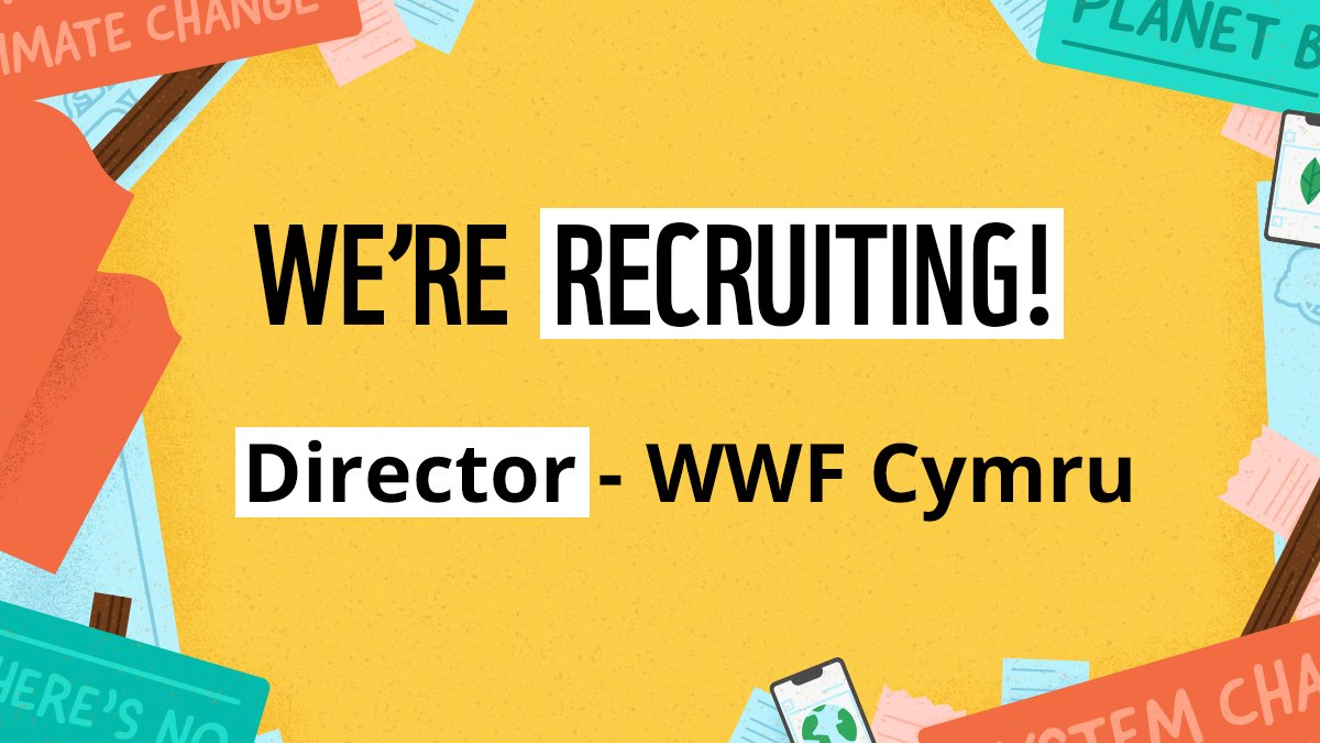We're recruiting for Director of WWF Cymru to lead the successful delivery of our strategy - focusing on tackling climate change, thriving habitats and species and changing the food system. 

You will work with courage, pace and passion.

Apply here: fal.cn/3nAH2