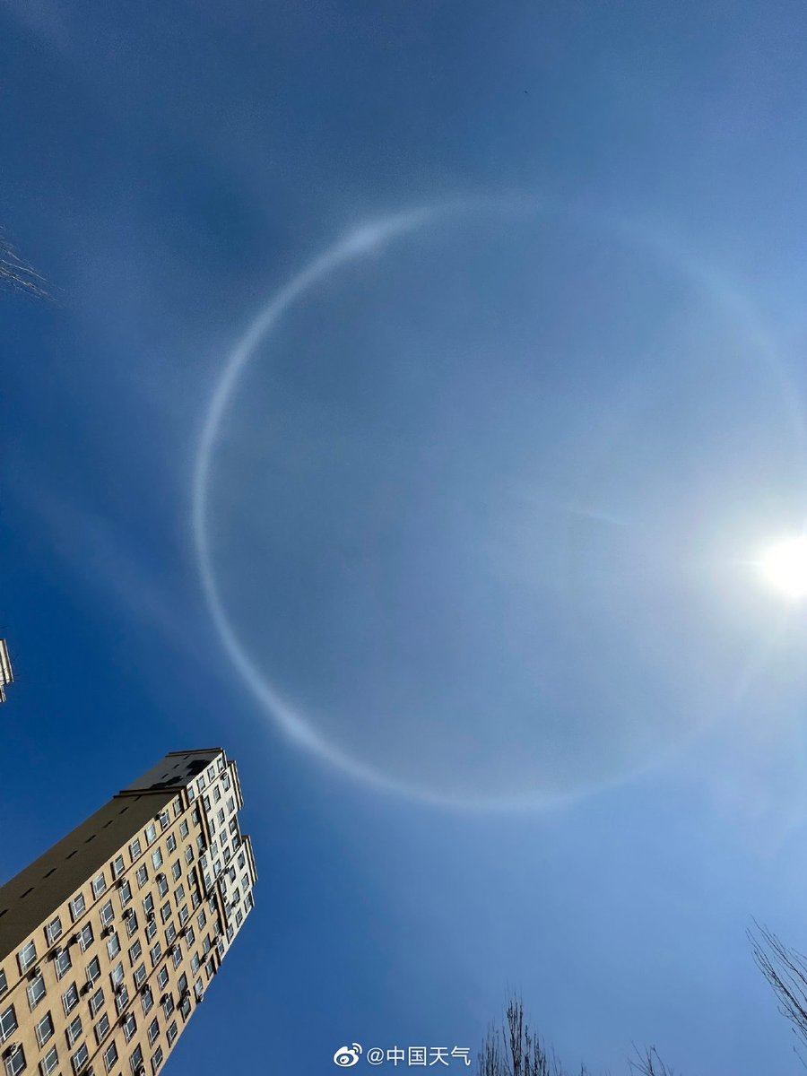 Marry me! A proposal from the sun: A rarely-seen complete parhelic circle appeared in Haicheng, northeast China’s Liaoning province, on Thursday, forming a wedding ring-like display in the sky. Who would turn down the brightest “diamond”?