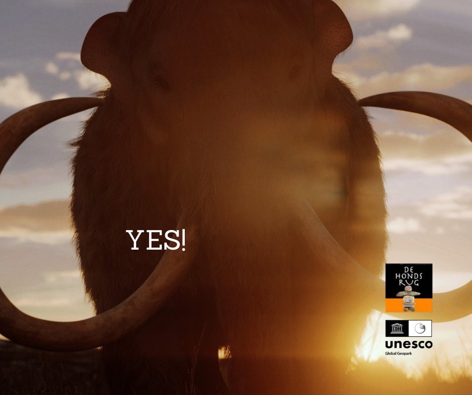 Afgelopen week is het officieel bekend gemaakt: De Hondsrug behoudt de komende 4 jaar de status van UNESCO Global Geopark. Een enorme blijk van waardering voor al het werk dat wij samen met onze partners hebben verricht!