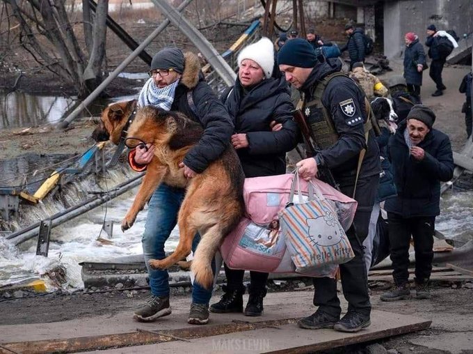 tytantinus's tweet photo. Ukranian refugees to their way to hopefully safer shores. No dog left behind. This was one of the last photos taken by Ukrainian photojournalist Maksim Levin before he was killed.
#powerpic #phtoography #horrosofwar #ukraine #refugees #compassion #dog #masksimlevin https://t.co/i1V993yt4w
