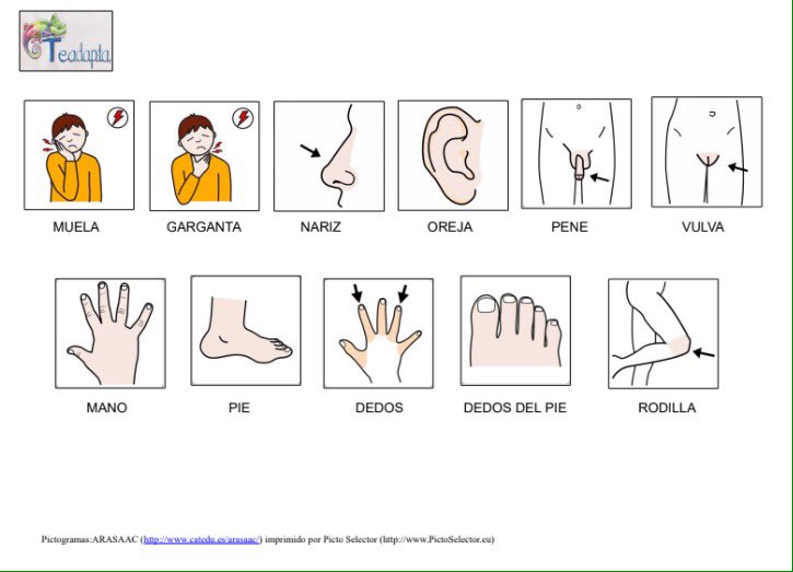 Teadapta's tweet photo. En el #DiaMundialdelaSalud recordamos la importancia de aprender a identificar el dolor y a expresarlo. En nuestro blog podéis encontrar materiales adaptados relacionados con la salud que os pueden servir como idea. Con #apoyovisual es más fácil 
https://t.co/KFTFnSdVwe https://t.co/pxDdMOrBrB