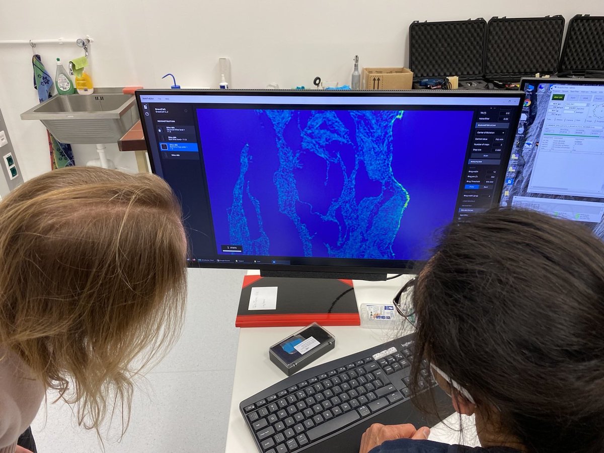 BreadCell project tweet media